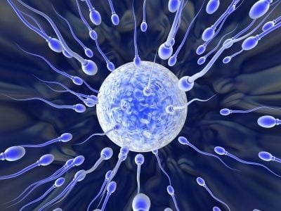 Sperm sayısı ve kalitesini artıran takviyeler
